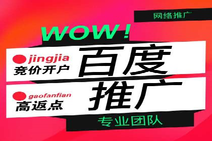 百度网络推广实战：揭秘高效引流秘籍